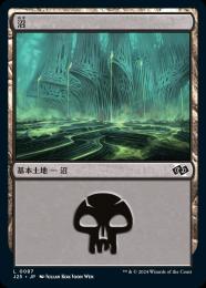 【J25】【JPN】《沼/Swamp》No.087