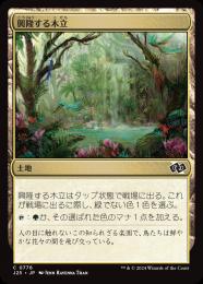【J25】【JPN】〈776-C-L〉《興隆する木立/Thriving Grove》
