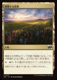 【J25】【JPN】〈777-C-L〉《興隆する荒野/Thriving Heath》