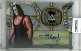2018 Topps Legends of WWE  Sting Autograph Commemorative Hall of Fame Ring Silver (パラレル版)(Lastナンバー!) 50/50
