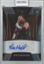 2022 Panini Select  WWE  Dave Mastiff Signature Selections