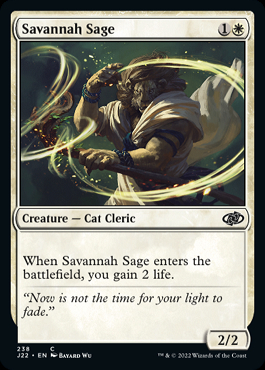 MTG  マジックザギャザリング  英語版　Savannah　サバンナ ミントモール / MINT GAMES MTG(東日本橋) / 【J22】【ENG