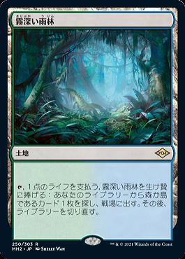 ミントモール / MINT GAMES MTG店 / ○SALE○【MH2】【JPN】《霧深い雨林/Misty Rainforest》 EX