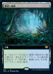 ●SALE●【MH2】【JPN】《霧深い雨林/Misty Rainforest》 拡張アート版 EX