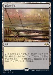 ●SALE●【MH2】【JPN】《湿地の干潟/Marsh Flats》 EX