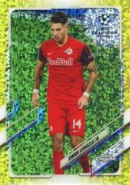 ミントモール / 検索結果 ソボスライ・ドミニク