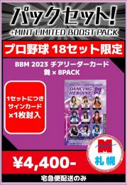 【札幌店】プロ野球チアリーダーお楽しみセット B【宅急便配送のみ】【18セット限定】残:8