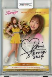 BBM チアリーダー 2024 shino 直筆サインカード【77/90】