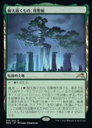 放送大学 割引 ミントモール 【NEO】【ENG / MTG(東日本橋) GAMES MINT / マジック：ザ・ギャザリング