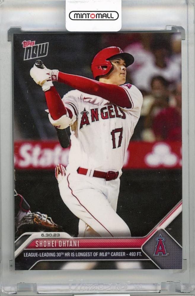大谷翔平 ホームランチャンピオン 2023シーズン 限定酒