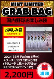 【国内野球お楽しみ袋】2024 BBM FUSION 5パック + ブーストパック1個 (2枚入)