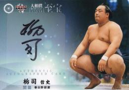 2015 BBM 大相撲 Legend 『至宝』 直筆サインカード / 栃司哲史 【58/69】