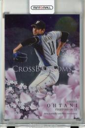 BBM 30周年記念カード 大谷翔平 CROSS BLOSSOMS 北海道日本ハムファイターズ