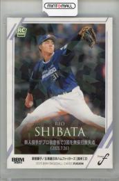 2025 BBM FUSION 柴田獅子 #31 北海道日本ハムファイターズ