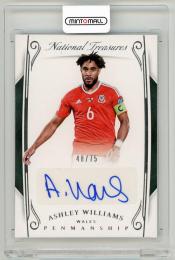 2018 Panini National Treasures Ashley Williams Penmanship Autographs【48/75】 Wales