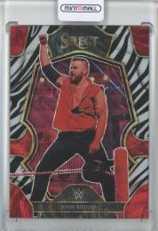 2023 Panini Select WWE  Josh Briggs Zebra #194