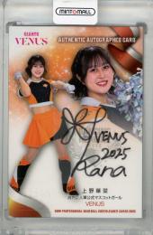 2025 BBM チアリーダー 上野華菜 直筆サインカード【19/90】 VENUS