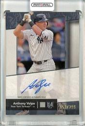 2024 Topps Museum Collection Anthony Volpe #AA-AV Archival Autographs【153/299】 Yankees