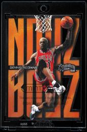 1998-99 SkyBox Thunder #13 Dennis Rodman Noyz Boyz (MSV#1619)