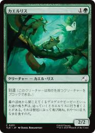 【TLE】【JPN】〈251-C-G〉《カエルリス/Frog-Squirrels》