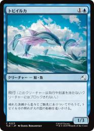 【TLE】【JPN】〈223-C-U〉《トビイルカ/Flying Dolphin-Fish》