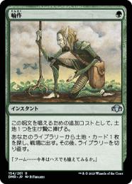 【極美品、foil】日本語《輪作/Crop Rotation ミントモール / MINT GAMES MTG(東日本橋) / 【2XM】【JPN