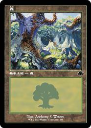 【DMR】【JPN】【Foil】《森/Forest》No.411