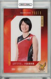 2016 火の鳥NIPPON 女子バレーボール  川島亜依美 フォトカード 116/150
