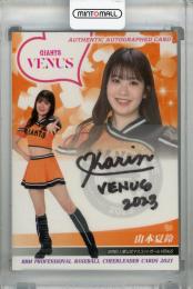 2023 BBM チアリーダーDANCING HEROINE‐舞‐ VENUS 山本夏鈴 直筆サインカード 69/90