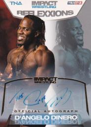 2012 TRISTAR TNA Impact  D'Angelo Dinero Reflexxions Autographs Goldパラレル版 16/50