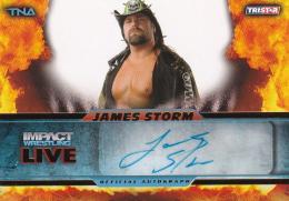 2013 TRISTAR TNA Impact  James Storm Live Autographs Gold 22/99