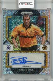 2022-23 Panini Prizm Premier League Steve Bull Signatures Base Breakaway Prizm #20 Auto ※状態難 Wolverhampton Wanderers