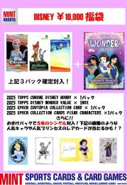 MINT NAGOYA DISNEY 10,000円福袋