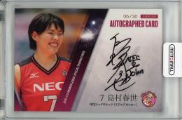 【裏面右上角若干白欠けあり】2016-17 V・プレミアリーグ 女子  島村春世 (NEC) 直筆サインカード 06/30