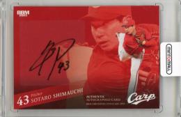 広島東洋カープ　選手会直筆サイン　2009マツダスタジアムオープニングイヤー 歩いてる最中に、カープ選手が屋内練習場で練習していて、ラッキーにも