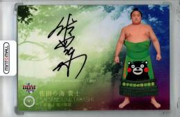 2016 BBM 大相撲カード 彩 佐田の海 貴士 直筆サインカード【23/60】