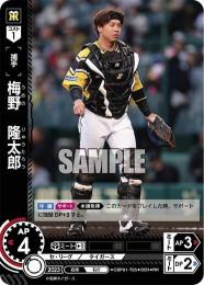 【CBP01-T05】梅野 隆太郎(2024)(RH)