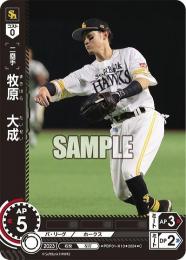 【PBP01-H10】牧原 大成(2024)(C)