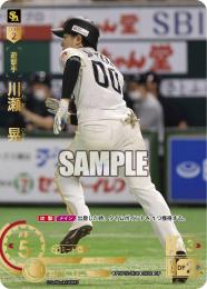 【PBP02-H06】川瀬 晃(2024)(SP)
