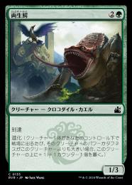 【RVR】【JPN】【Foil】《両生鰐/Crocanura》