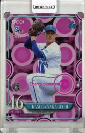 EPOCH 2025 NPB プロ野球カード 坂口翔颯 Cherry Blossom Pink #060 RC【3/5】 横浜DeNAベイスターズ