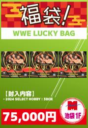 【MINT池袋店・お正月福袋】WWE LUCKY BAG