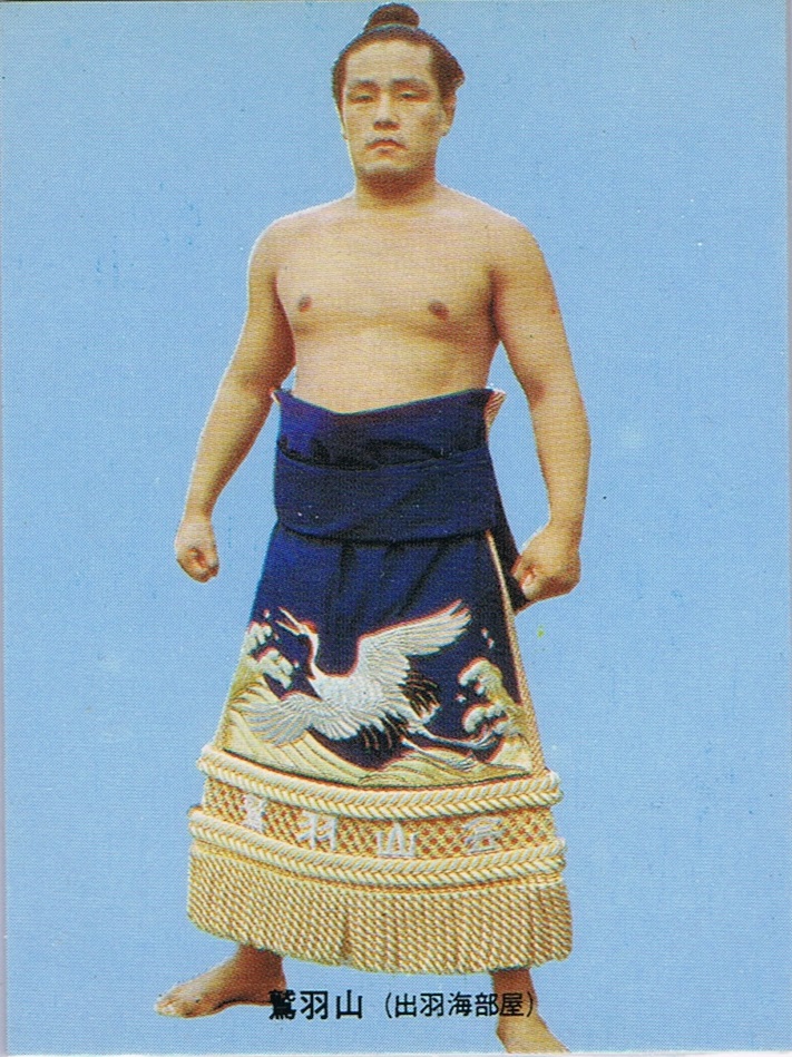 1973年度版カルビー	大相撲　鷲羽山 NO14