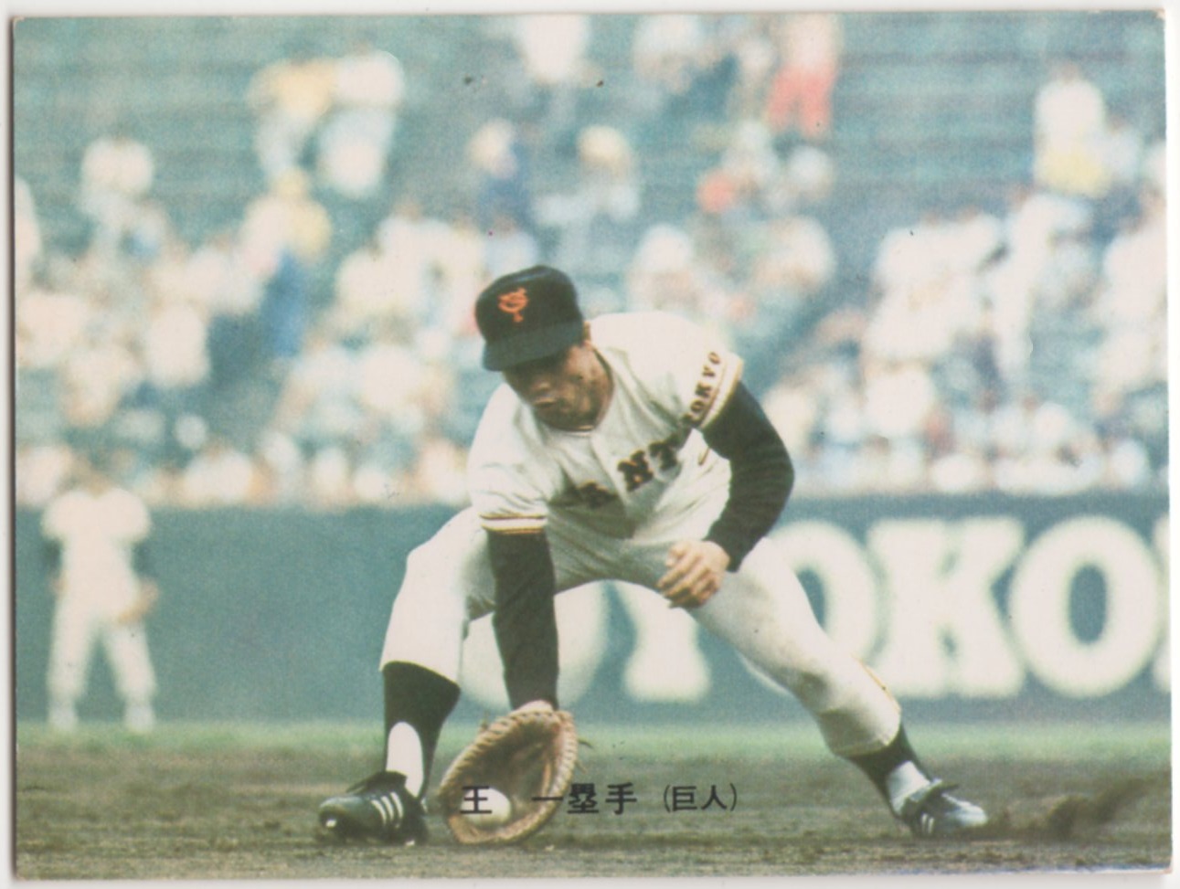 【王  一塁手(巨人)】カルビープロ野球カード1973[プロ野球カード]NO.144 王貞治(巨人)