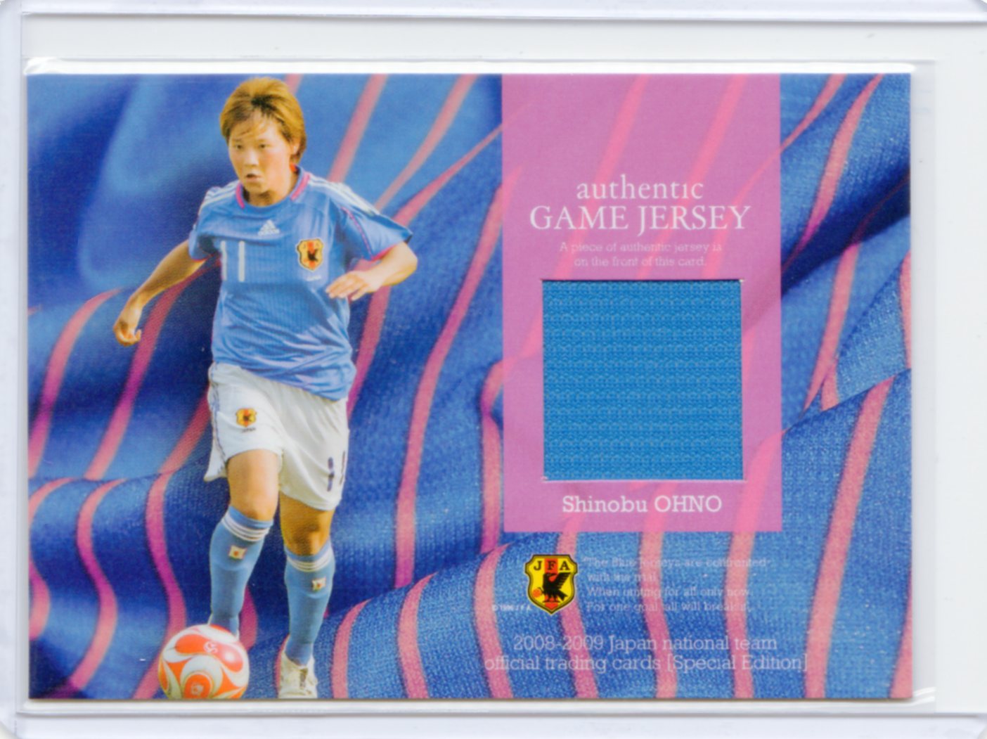 2008-09 日本代表SE	大野忍	ジャージカード	64/100